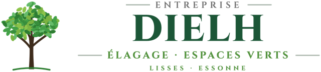 Entreprise Dielh